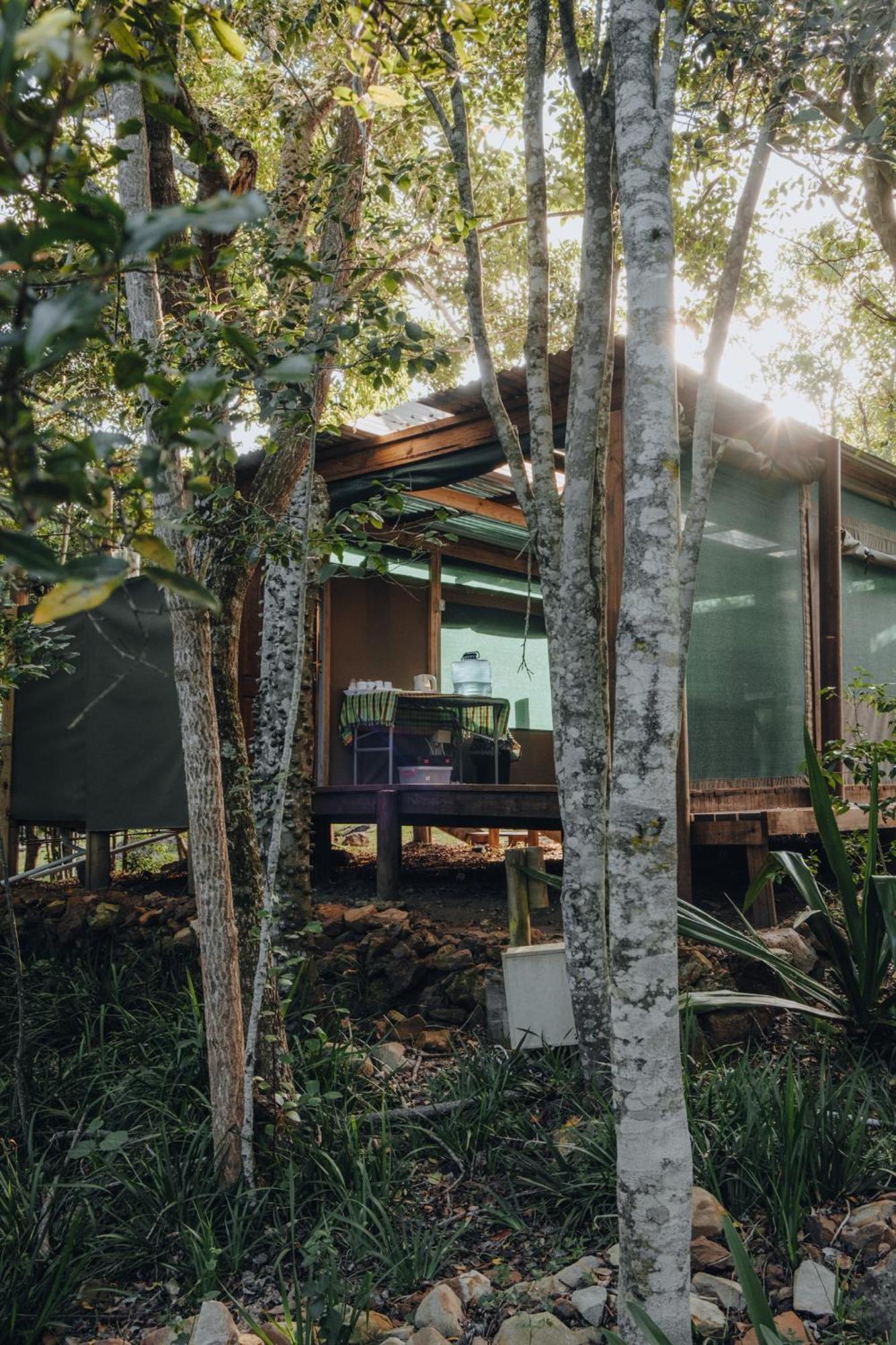 Firefly Falls เพลตเตนเบิร์กเบย์ ภายนอก รูปภาพ