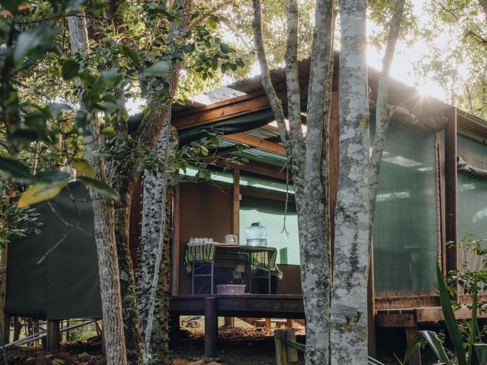 Firefly Falls เพลตเตนเบิร์กเบย์ ภายนอก รูปภาพ