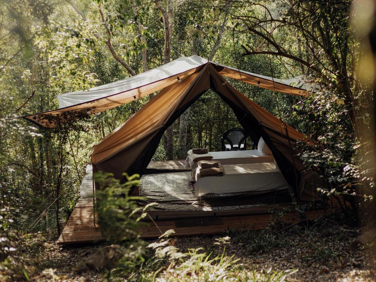 Firefly Falls เพลตเตนเบิร์กเบย์ ภายนอก รูปภาพ