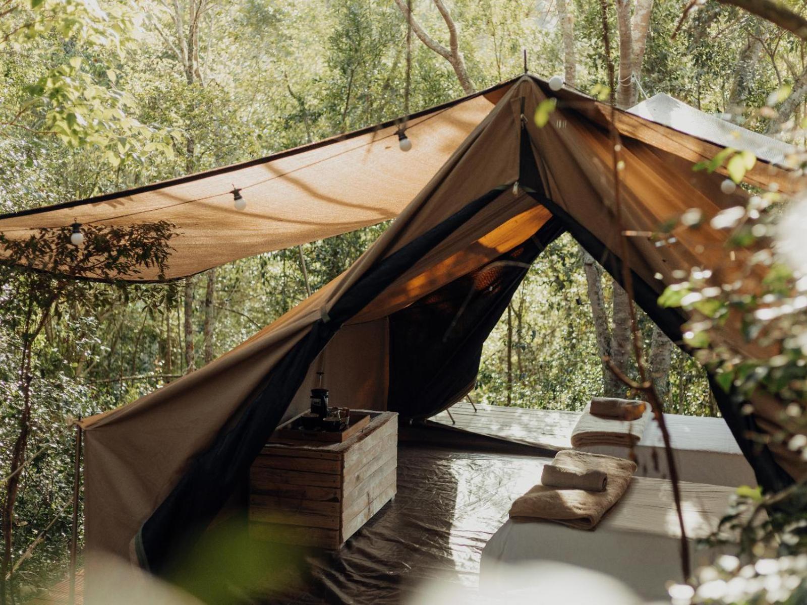 Firefly Falls เพลตเตนเบิร์กเบย์ ภายนอก รูปภาพ